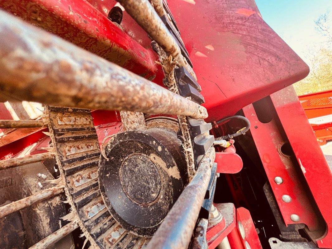 Maquina para lavrar a terra Grimme REXOR 6200: foto 15