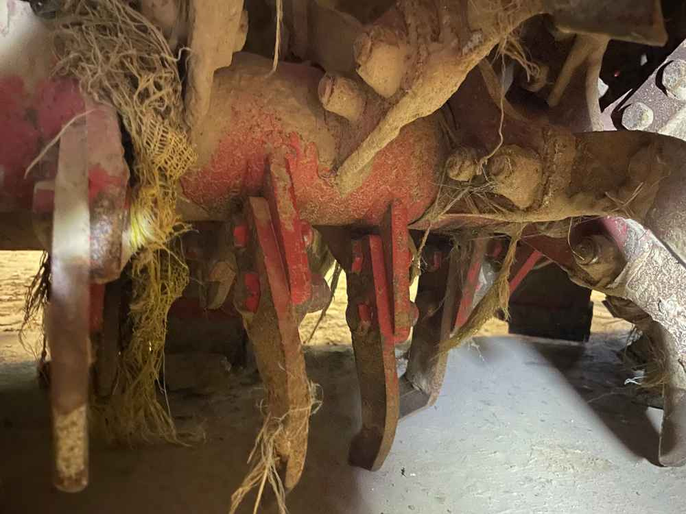 Grimme RT 300 - Colheitadeira: foto 3 Grimme RT 300 - Colheitadeira: foto 3