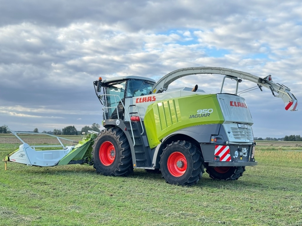 Picadora de forragem automotriz Claas Jaguar 950 Allrad + Claas Orbis 750: foto 8