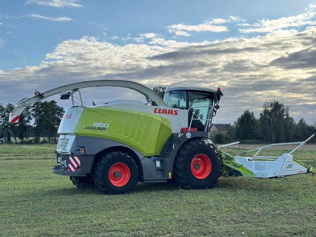Picadora de forragem automotriz Claas Jaguar 950 Allrad + Claas Orbis 750: foto 10