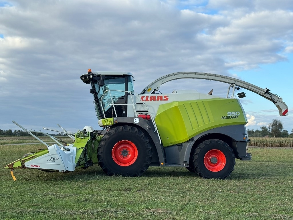 Picadora de forragem automotriz Claas Jaguar 950 Allrad + Claas Orbis 750: foto 7