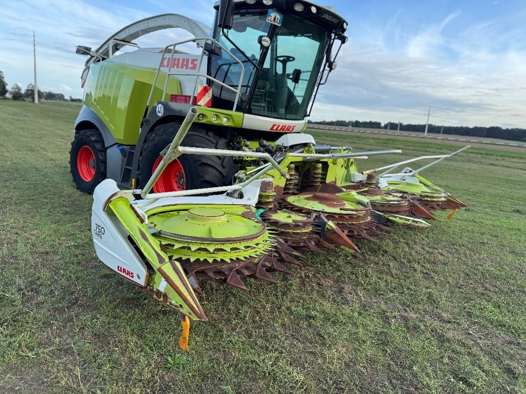 Picadora de forragem automotriz Claas Jaguar 950 Allrad + Claas Orbis 750: foto 11