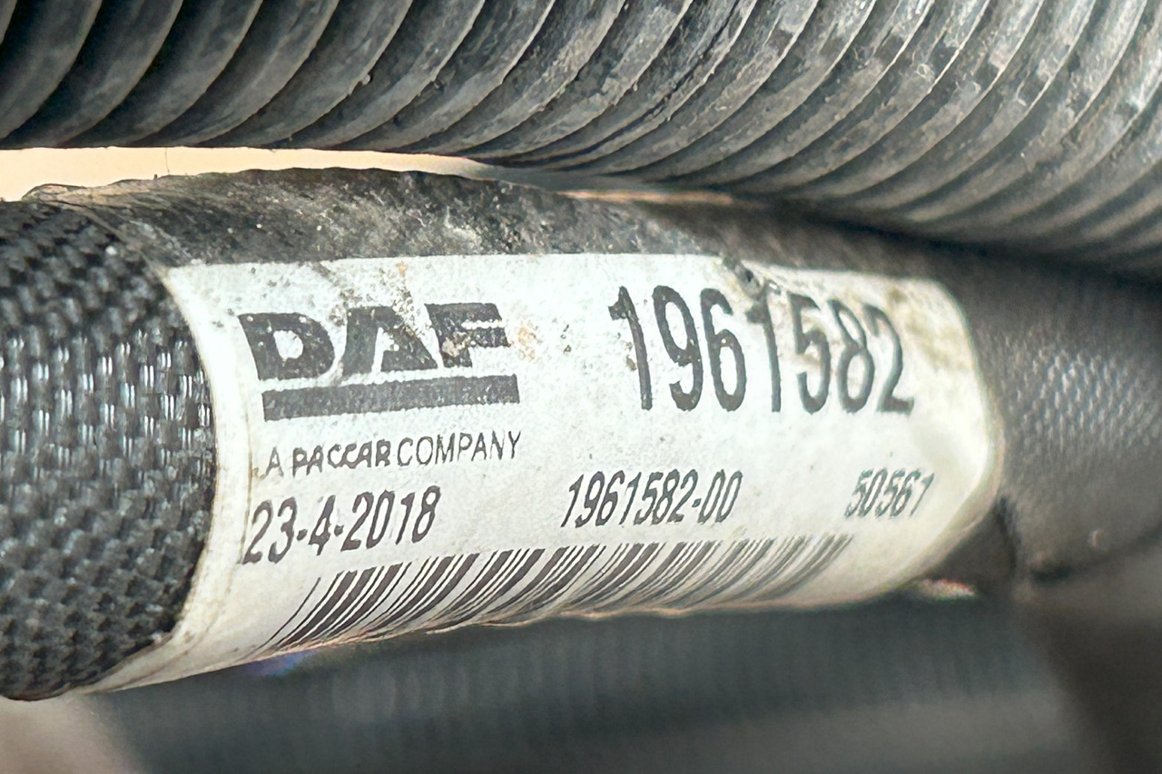 Cables/ Wire harness DAF XF 106 ELECTRICAL HARNESS: foto 7 Cables/ Wire harness DAF XF 106 ELECTRICAL HARNESS: foto 7