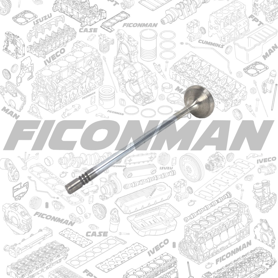 FORD Ford Trucks F-MAX ECOTORQ 9L Exhaust valve 2C46-6505-CA , T122136 , 2C466505CA - Válvula por Camião: foto 1 FORD Ford Trucks F-MAX ECOTORQ 9L Exhaust valve 2C46-6505-CA , T122136 , 2C466505CA - Válvula por Camião: foto 1
