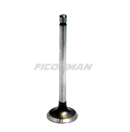 Iveco Daily Fiat Ducato F1C Intake Valve 504072531 504238926 - Válvula por Veículo comercial: foto 2 Iveco Daily Fiat Ducato F1C Intake Valve 504072531 504238926 - Válvula por Veículo comercial: foto 2