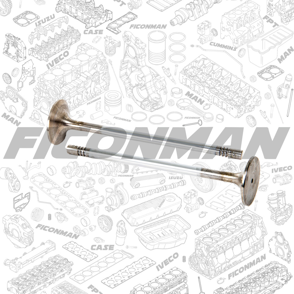 Ford Ford Trucks F-MAX ECOTORQ 9L Intake Valve 2C466507-CA ,T162806, 2C466507CA - Válvula por Camião: foto 1 Ford Ford Trucks F-MAX ECOTORQ 9L Intake Valve 2C466507-CA ,T162806, 2C466507CA - Válvula por Camião: foto 1