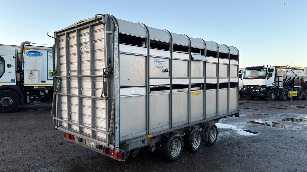 IFOR WILLIAMS DP120S3-4 - Reboque transporte de gado: foto 5 IFOR WILLIAMS DP120S3-4 - Reboque transporte de gado: foto 5