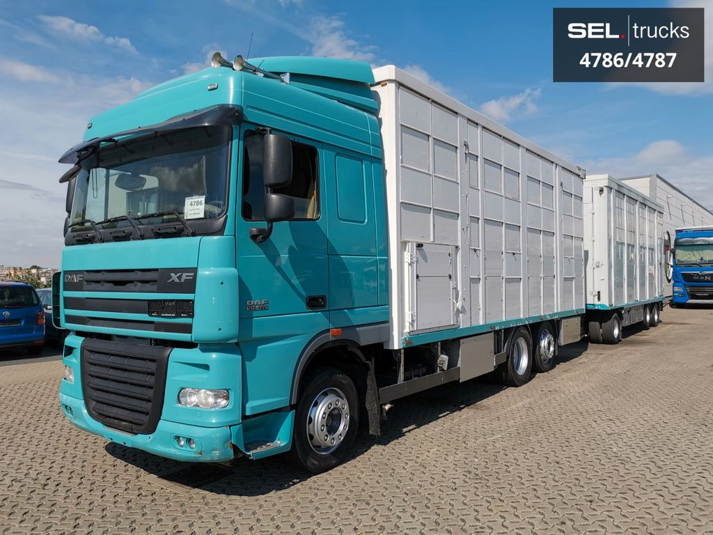 DAF XF 105.460 / Intarder / 4 Stock / KOMPLETT ! DAF XF 105.460 / Intarder / 4 Stock / KOMPLETT ! - Camião transporte de gado: foto 2 DAF XF 105.460 / Intarder / 4 Stock / KOMPLETT ! DAF XF 105.460 / Intarder / 4 Stock / KOMPLETT ! - Camião transporte de gado: foto 2