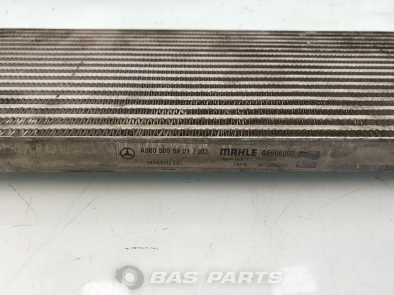 Mercedes-Benz Oliekoeler V-Bak Mercedes A 960 500 59 01 - Radiador de óleo por Camião: foto 3 Mercedes-Benz Oliekoeler V-Bak Mercedes A 960 500 59 01 - Radiador de óleo por Camião: foto 3