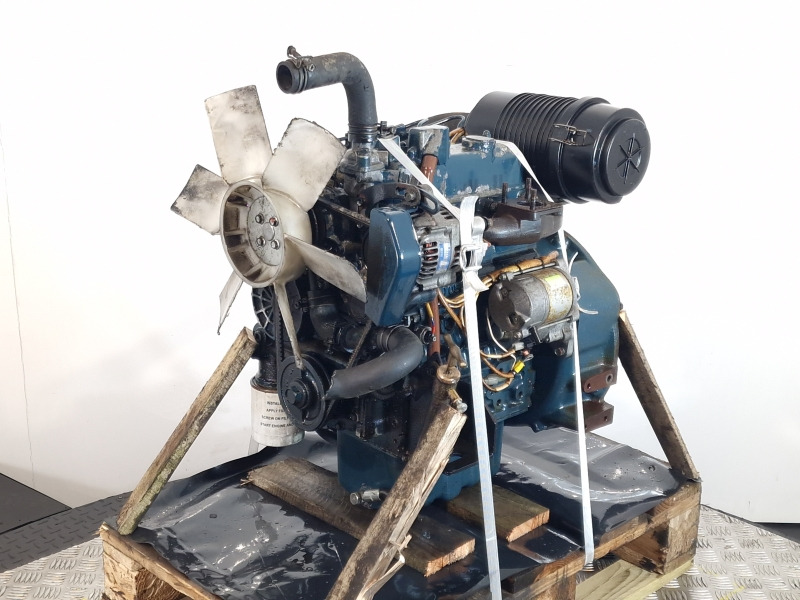 Motor por Equipamento industrial Kubota D1105-EU2 Engine (Industrial): foto 6