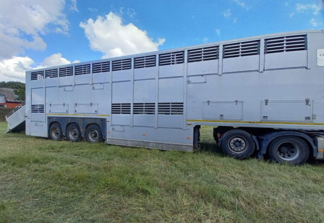 Gray and Adams Gadd3 / Works Great / Hydraulic / 2 Levels - Semi-reboque transporte de gado: foto 2 Gray and Adams Gadd3 / Works Great / Hydraulic / 2 Levels - Semi-reboque transporte de gado: foto 2