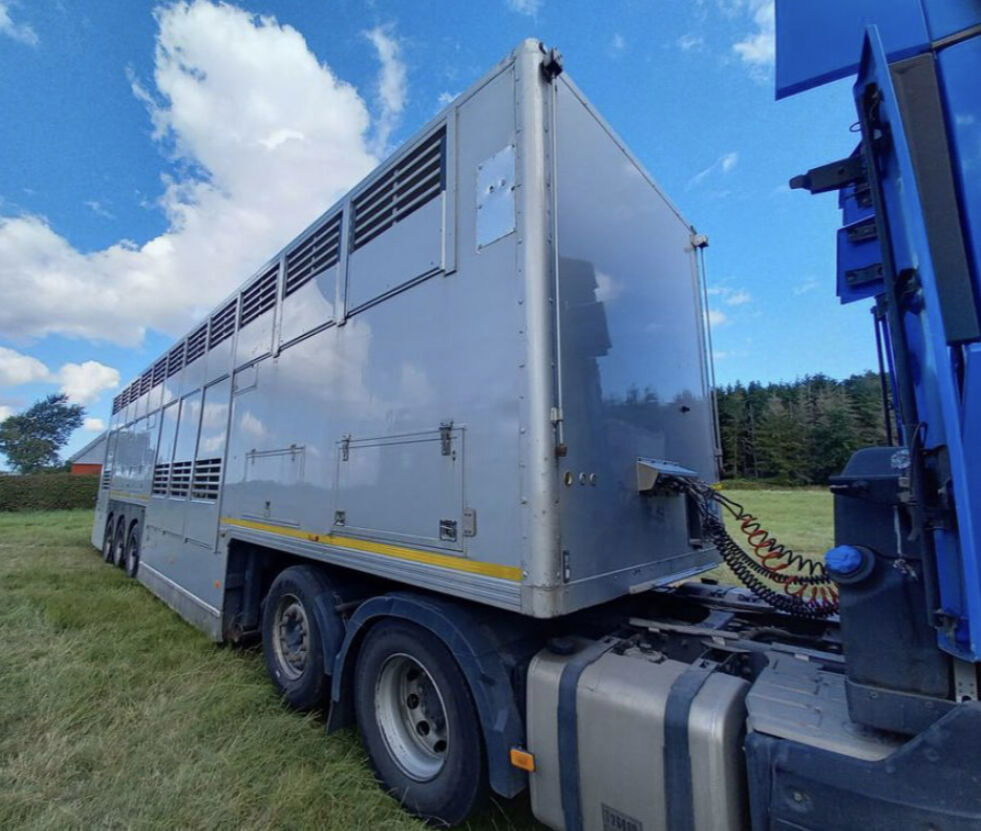 Gray and Adams Gadd3 / Works Great / Hydraulic / 2 Levels - Semi-reboque transporte de gado: foto 4 Gray and Adams Gadd3 / Works Great / Hydraulic / 2 Levels - Semi-reboque transporte de gado: foto 4