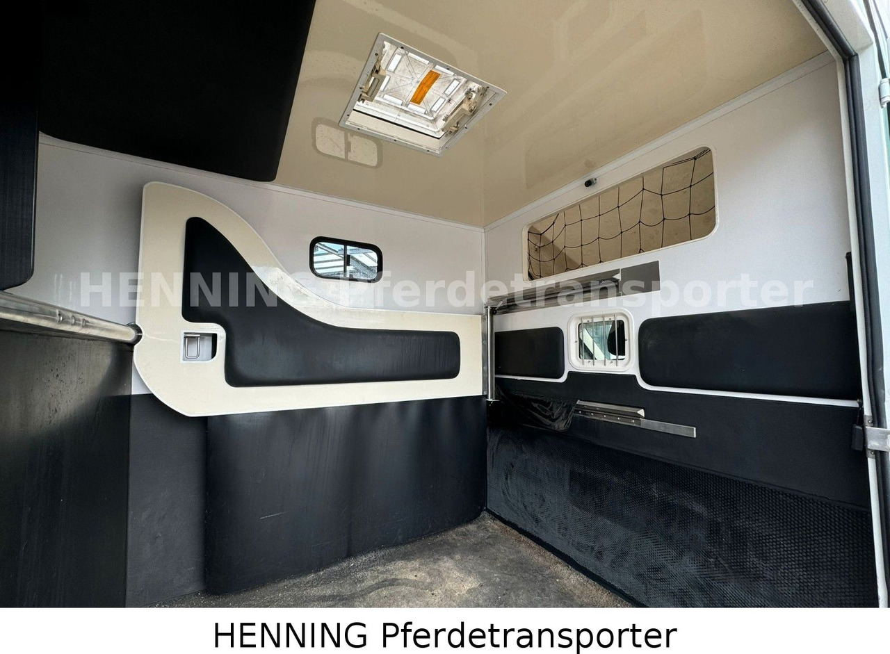 Fiat Ducato 3-Sitzer - Camião de transporte de cavalos, Veículo comercial: foto 5 Fiat Ducato 3-Sitzer - Camião de transporte de cavalos, Veículo comercial: foto 5