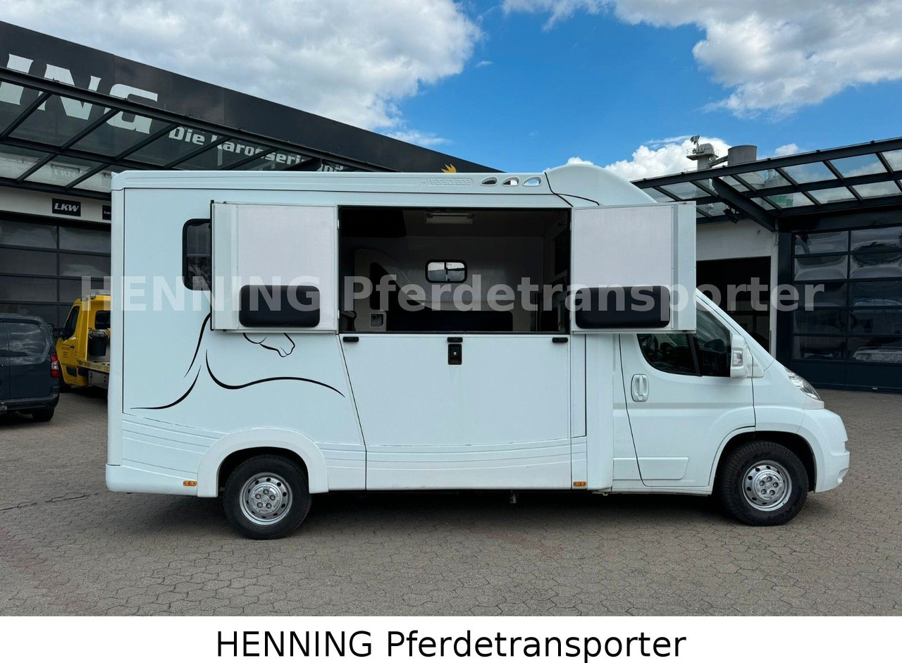 Fiat Ducato 3-Sitzer - Camião de transporte de cavalos, Veículo comercial: foto 3 Fiat Ducato 3-Sitzer - Camião de transporte de cavalos, Veículo comercial: foto 3