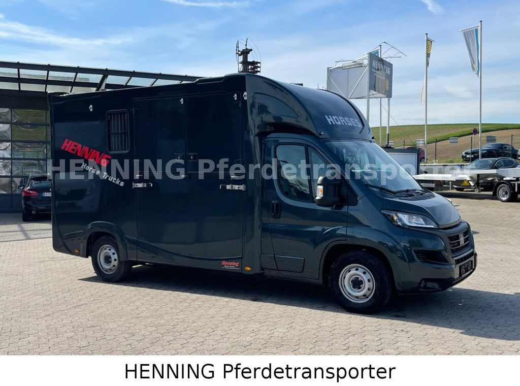 Fiat Ducato 3 - Sitzer *VORFÜHRUNGSFAHRZEUG* - Camião de transporte de cavalos: foto 3 Fiat Ducato 3 - Sitzer *VORFÜHRUNGSFAHRZEUG* - Camião de transporte de cavalos: foto 3