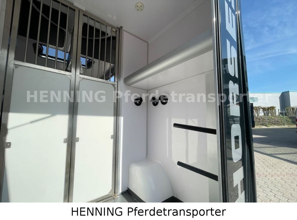 Camião de transporte de cavalos novo Fiat Ducato 3 - Sitzer *VORFÜHRUNGSFAHRZEUG*: foto 16