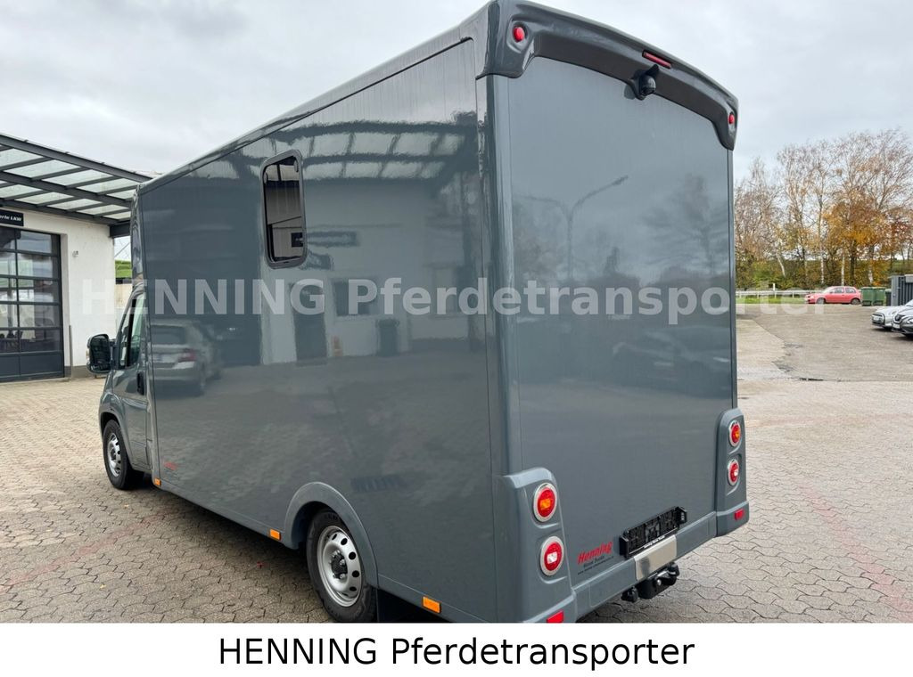 Camião de transporte de cavalos Fiat Ducato *NEUWAGEN* ca.1100 kg Nutzlast: foto 12