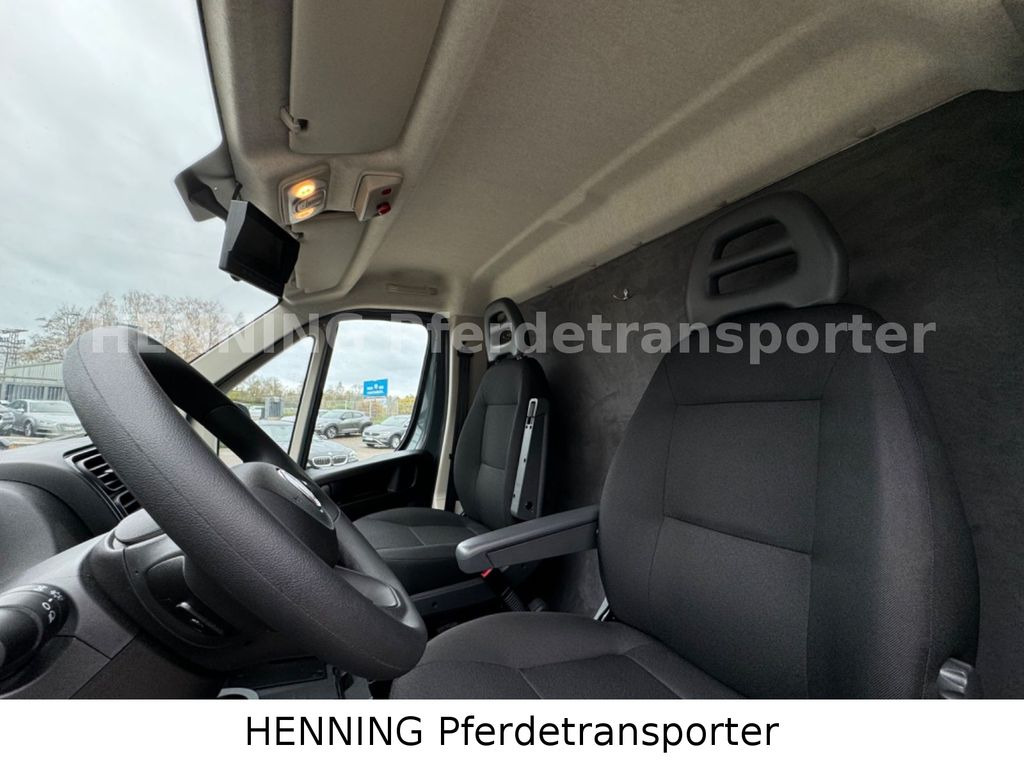 Camião de transporte de cavalos Fiat Ducato *NEUWAGEN* ca.1100 kg Nutzlast: foto 14