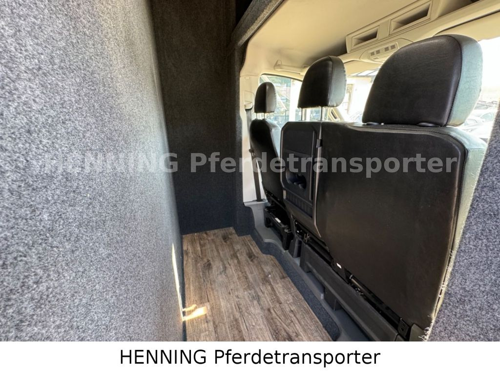 Camião de transporte de cavalos MAN TGE 3 - Sitzer *AUFBAU NEU* *SOZIALRAUM*: foto 17