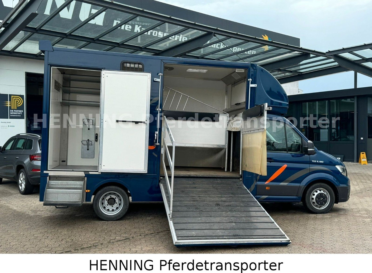 MAN TGE 5.500kg Gesamtgewicht - Camião transporte de gado: foto 5 MAN TGE 5.500kg Gesamtgewicht - Camião transporte de gado: foto 5