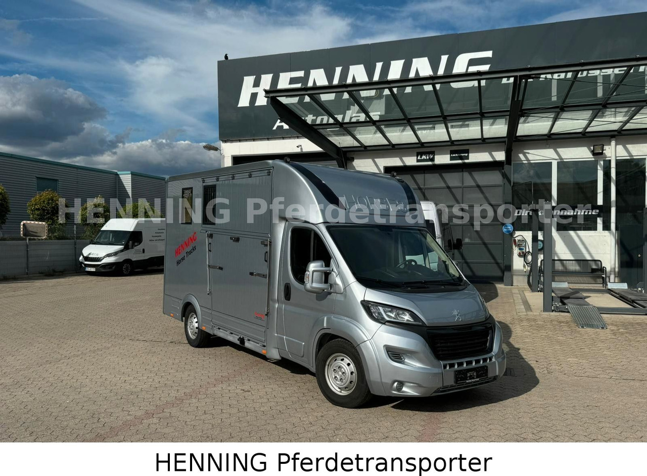 Peugeot Boxer 3 - Sitzer - Camião transporte de gado: foto 1 Peugeot Boxer 3 - Sitzer - Camião transporte de gado: foto 1