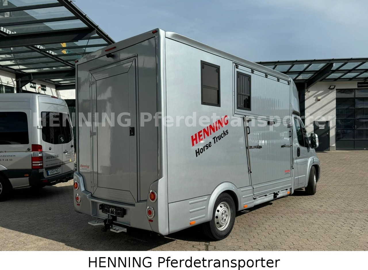 Peugeot Boxer 3 - Sitzer - Camião transporte de gado: foto 2 Peugeot Boxer 3 - Sitzer - Camião transporte de gado: foto 2