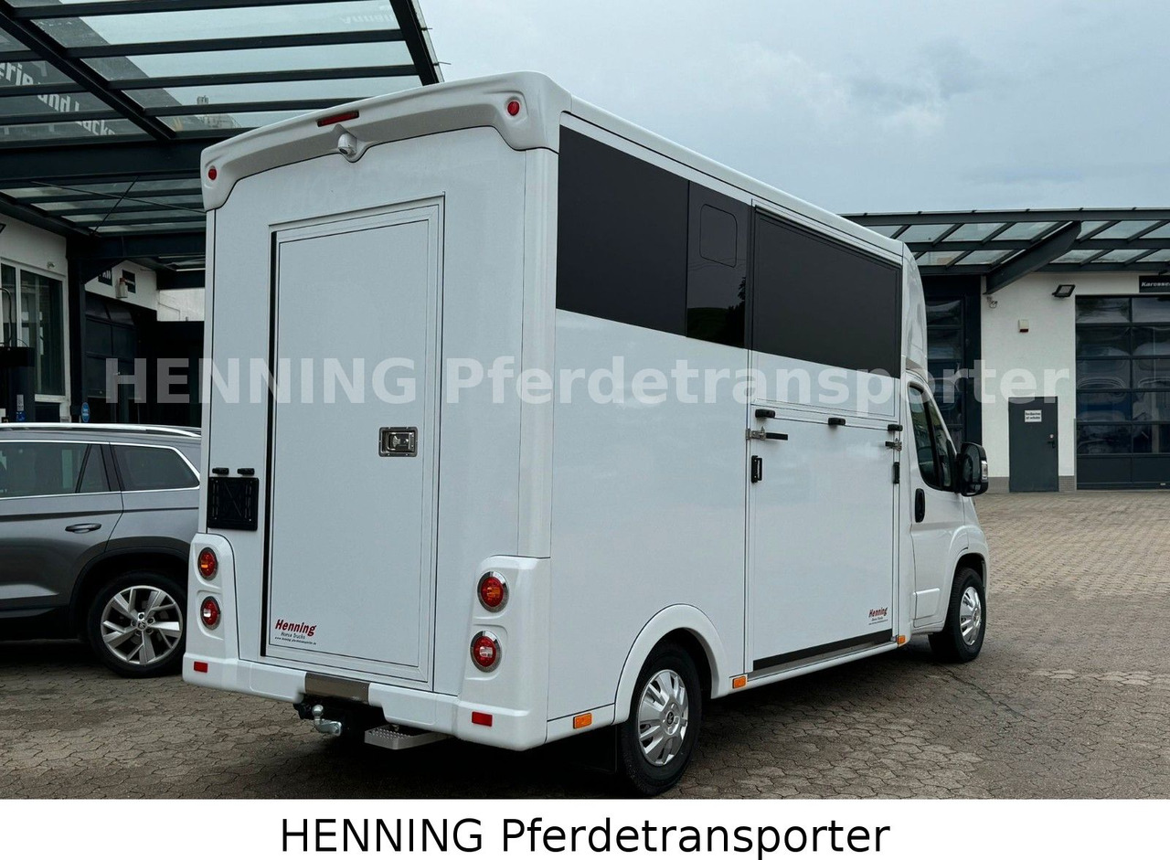 Peugeot Boxer *NEUWAGEN* ca. 1.200kg Nutzlast - Camião transporte de gado: foto 3 Peugeot Boxer *NEUWAGEN* ca. 1.200kg Nutzlast - Camião transporte de gado: foto 3