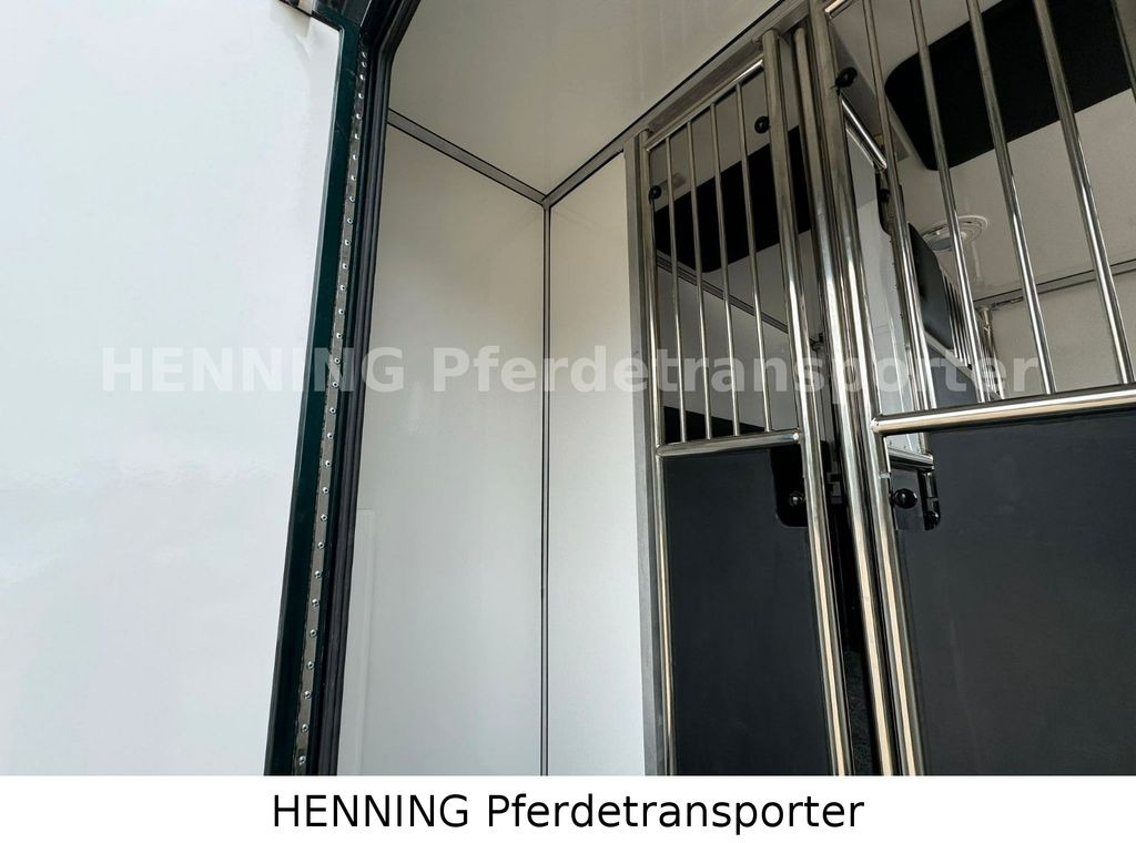 Camião de transporte de cavalos Renault Master 5 -  Sitzer Automatik Renault Master 6 -  Sitzer Automatik: foto 10