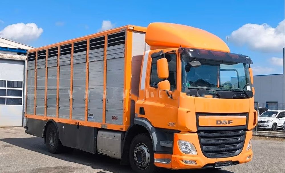 DAF CF 400 Menke Einstock | Transport zwierząt jednopoziomowy | 2 kratownice do bydła| Retarder | Euro 6 - Camião transporte de gado: foto 5 DAF CF 400 Menke Einstock | Transport zwierząt jednopoziomowy | 2 kratownice do bydła| Retarder | Euro 6 - Camião transporte de gado: foto 5