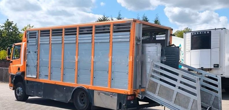 DAF CF 400 Menke Einstock | Transport zwierząt jednopoziomowy | 2 kratownice do bydła| Retarder | Euro 6 - Camião transporte de gado: foto 4 DAF CF 400 Menke Einstock | Transport zwierząt jednopoziomowy | 2 kratownice do bydła| Retarder | Euro 6 - Camião transporte de gado: foto 4