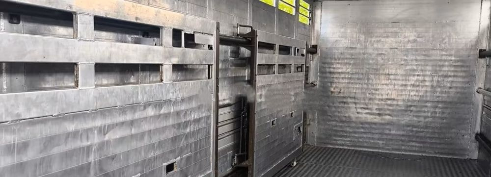 Camião transporte de gado DAF CF 400 Menke Einstock | Transport zwierząt jednopoziomowy | 2 kratownice do bydła| Retarder | Euro 6: foto 14 Camião transporte de gado DAF CF 400 Menke Einstock | Transport zwierząt jednopoziomowy | 2 kratownice do bydła| Retarder | Euro 6: foto 14