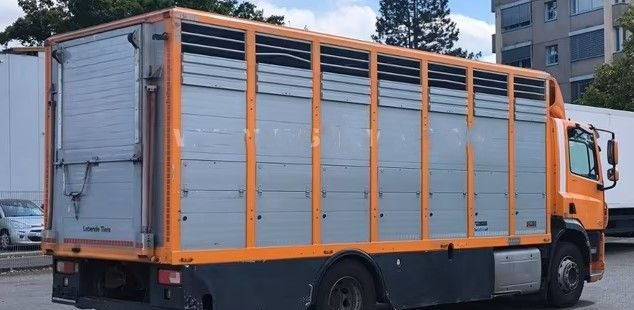 Camião transporte de gado DAF CF 400 Menke Einstock | Transport zwierząt jednopoziomowy | 2 kratownice do bydła| Retarder | Euro 6: foto 6 Camião transporte de gado DAF CF 400 Menke Einstock | Transport zwierząt jednopoziomowy | 2 kratownice do bydła| Retarder | Euro 6: foto 6