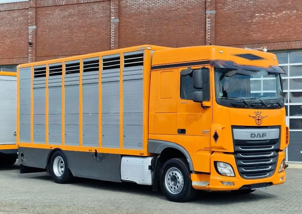 DAF XF 460 4x2 SpaceCab – Menke Livestock | 1 pokład | Euro 6 | 2016 - Camião transporte de gado: foto 4 DAF XF 460 4x2 SpaceCab – Menke Livestock | 1 pokład | Euro 6 | 2016 - Camião transporte de gado: foto 4