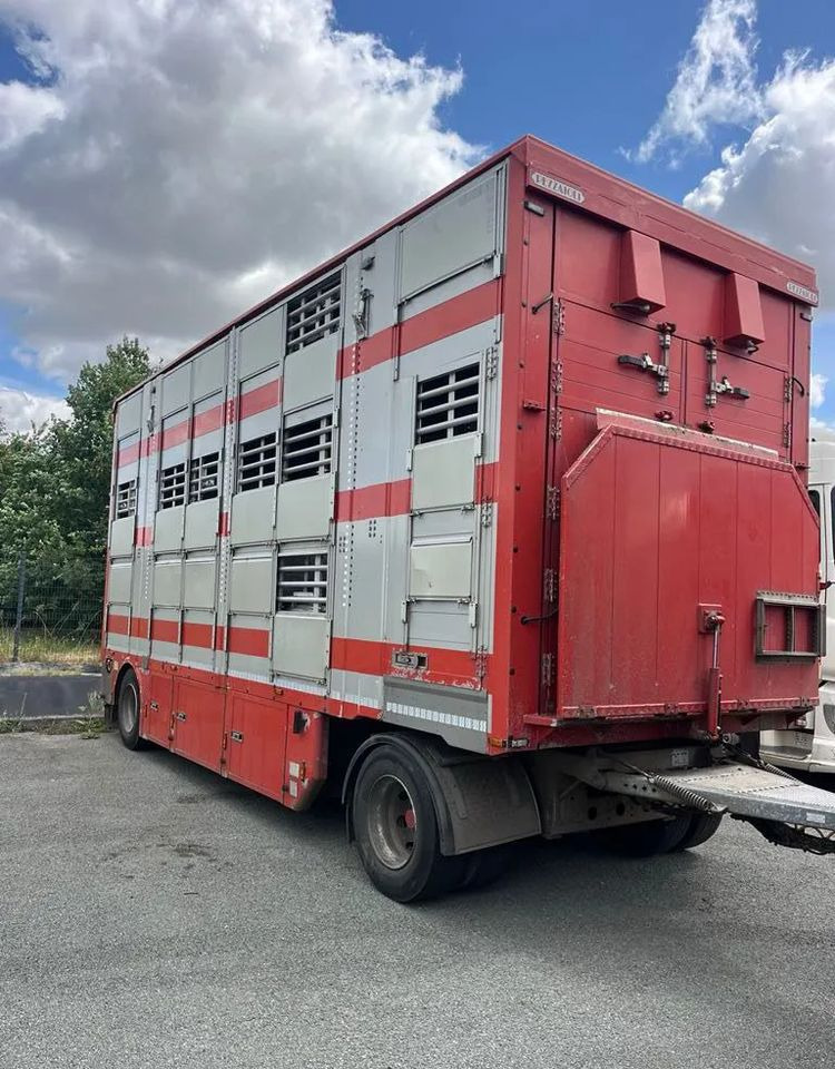 DAF XF 530 + Przyczepa Pezzaoli - 3X Trzoda, 2 X Bydło I 3 poziomy I Podnoszony dach I Hydroburta I Osie Skrętne I Poidła I Wentylatory I Pilot Manualny | - Camião transporte de gado: foto 4 DAF XF 530 + Przyczepa Pezzaoli - 3X Trzoda, 2 X Bydło I 3 poziomy I Podnoszony dach I Hydroburta I Osie Skrętne I Poidła I Wentylatory I Pilot Manualny | - Camião transporte de gado: foto 4