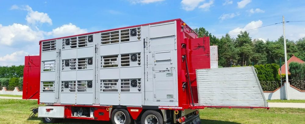 Pezzaioli RBA 32/TRZYOSIOWA PRZYCZEPA-2XBYDŁO,3X TRZODA/HYDRAULICZNIE PODNOSZONY DACH I PODŁOGI / OŚ ŚRODKOWA PODNOSZONA - Reboque transporte de gado: foto 2 Pezzaioli RBA 32/TRZYOSIOWA PRZYCZEPA-2XBYDŁO,3X TRZODA/HYDRAULICZNIE PODNOSZONY DACH I PODŁOGI / OŚ ŚRODKOWA PODNOSZONA - Reboque transporte de gado: foto 2