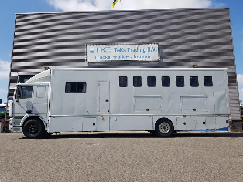 DAF 95.350 Paardenwagen met zitverblijf 7 paarden 7 horses - Camião de transporte de cavalos: foto 3 DAF 95.350 Paardenwagen met zitverblijf 7 paarden 7 horses - Camião de transporte de cavalos: foto 3
