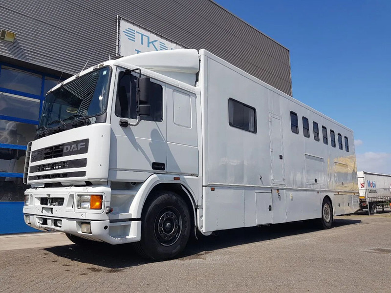 DAF 95.350 Paardenwagen met zitverblijf 7 paarden 7 horses - Camião de transporte de cavalos: foto 1 DAF 95.350 Paardenwagen met zitverblijf 7 paarden 7 horses - Camião de transporte de cavalos: foto 1
