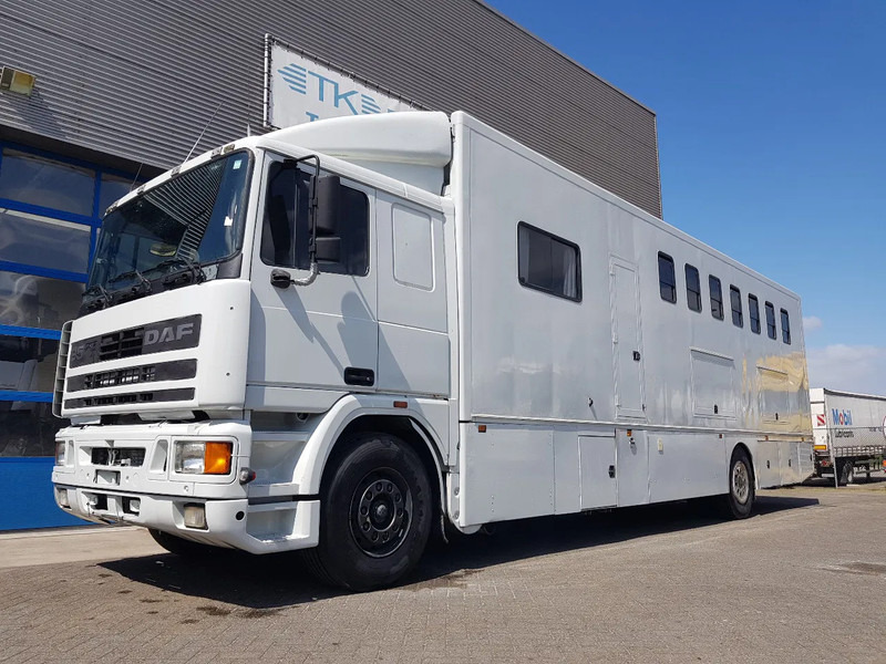 DAF 95.350 Paardenwagen met zitverblijf 7 paarden 7 horses - Camião de transporte de cavalos: foto 1 DAF 95.350 Paardenwagen met zitverblijf 7 paarden 7 horses - Camião de transporte de cavalos: foto 1