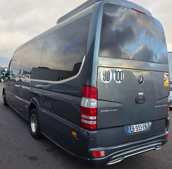 Leasing de Mercedes-Benz SPRINTER 516 BLUETEC / SPROWADZONY / 86 000 KM Mercedes-Benz SPRINTER 516 BLUETEC / SPROWADZONY / 86 000 KM: foto 10 Leasing de Mercedes-Benz SPRINTER 516 BLUETEC / SPROWADZONY / 86 000 KM Mercedes-Benz SPRINTER 516 BLUETEC / SPROWADZONY / 86 000 KM: foto 10