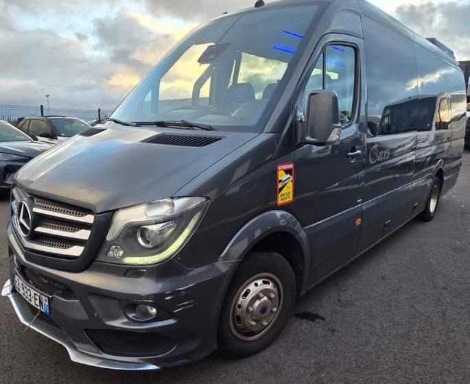 Leasing de Mercedes-Benz SPRINTER 516 BLUETEC / SPROWADZONY / 86 000 KM Mercedes-Benz SPRINTER 516 BLUETEC / SPROWADZONY / 86 000 KM: foto 12 Leasing de Mercedes-Benz SPRINTER 516 BLUETEC / SPROWADZONY / 86 000 KM Mercedes-Benz SPRINTER 516 BLUETEC / SPROWADZONY / 86 000 KM: foto 12
