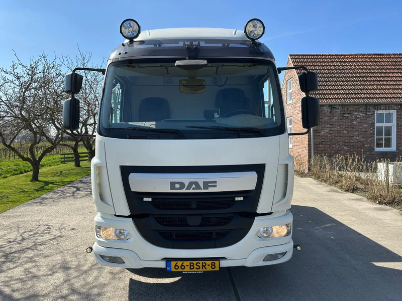 DAF LF 250 / NL TRUCK / EURO6 / LENGTE BAK 950cm / 12T - Camião transporte de veículos: foto 2 DAF LF 250 / NL TRUCK / EURO6 / LENGTE BAK 950cm / 12T - Camião transporte de veículos: foto 2