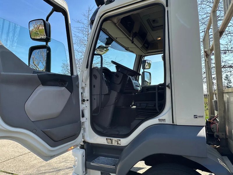 DAF LF 250 / NL TRUCK / EURO6 / LENGTE BAK 950cm / 12T - Camião transporte de veículos: foto 5 DAF LF 250 / NL TRUCK / EURO6 / LENGTE BAK 950cm / 12T - Camião transporte de veículos: foto 5