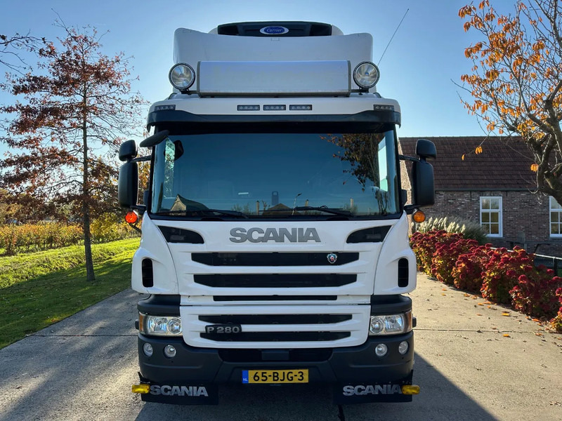 Scania P280 / NL TRUCK / EURO 6 / FULL AIR / CARRIER SUPRA 1250 / TOPCONDITION / LIFT+DOORS - Camião frigorífico: foto 2 Scania P280 / NL TRUCK / EURO 6 / FULL AIR / CARRIER SUPRA 1250 / TOPCONDITION / LIFT+DOORS - Camião frigorífico: foto 2