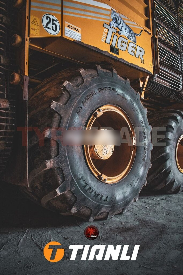Tianli 750/65R26 (28LR26) AG RADIAL SPECIAL (AG-RS) 166A8/166B TL - Pneu por Trator: foto 3 Tianli 750/65R26 (28LR26) AG RADIAL SPECIAL (AG-RS) 166A8/166B TL - Pneu por Trator: foto 3