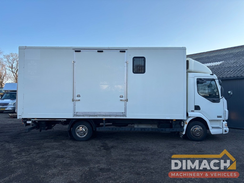 DAF FA LF45.150 4 paards, laadlift. Horsetruck NL truck - Camião de transporte de cavalos: foto 4 DAF FA LF45.150 4 paards, laadlift. Horsetruck NL truck - Camião de transporte de cavalos: foto 4
