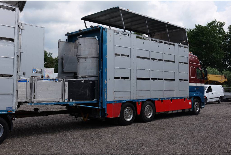 Volvo FH 13 480 6x2 3 stock livestock transport Cuppers - Camião transporte de gado: foto 5 Volvo FH 13 480 6x2 3 stock livestock transport Cuppers - Camião transporte de gado: foto 5