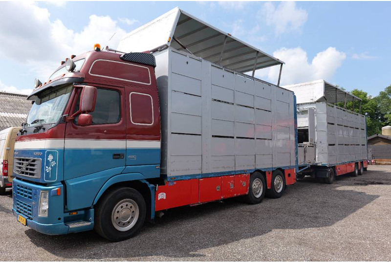 Volvo FH 13 480 6x2 3 stock livestock transport Cuppers - Camião transporte de gado: foto 2 Volvo FH 13 480 6x2 3 stock livestock transport Cuppers - Camião transporte de gado: foto 2