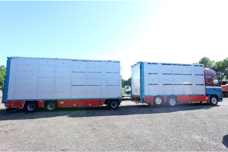 Volvo FH 13 480 6x2 3 stock livestock transport Cuppers - Camião transporte de gado: foto 4 Volvo FH 13 480 6x2 3 stock livestock transport Cuppers - Camião transporte de gado: foto 4