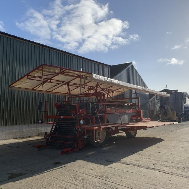 Simons Salad / Lettuce Harvester Simons - Equipamento para colheitadeira: foto 1 Simons Salad / Lettuce Harvester Simons - Equipamento para colheitadeira: foto 1