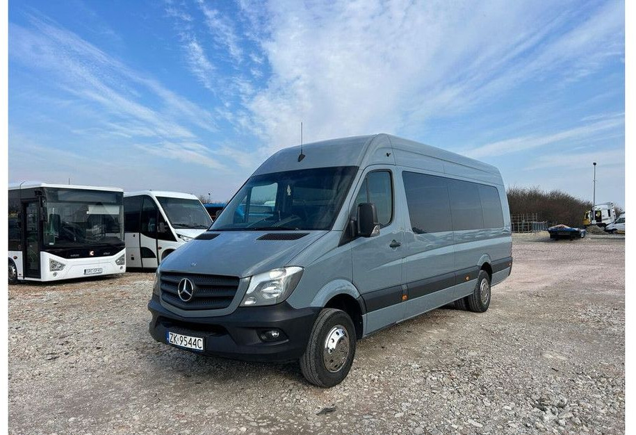 Minibus, Furgão de passageiros Mercedes-Benz Sprinter 516: foto 12